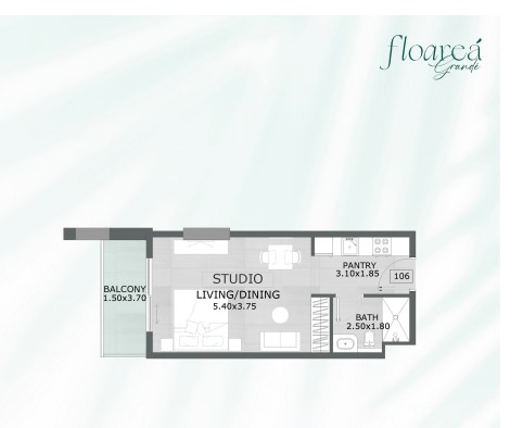 Floarea Grande - Studio