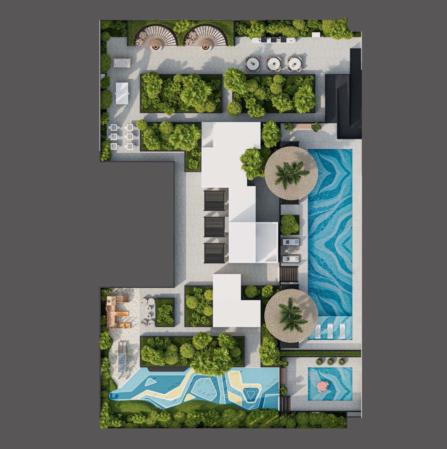 Floarea Oasis - Studio