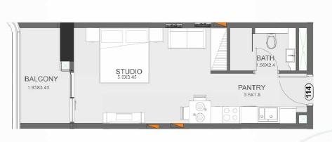 Floarea Oasis - Studio
