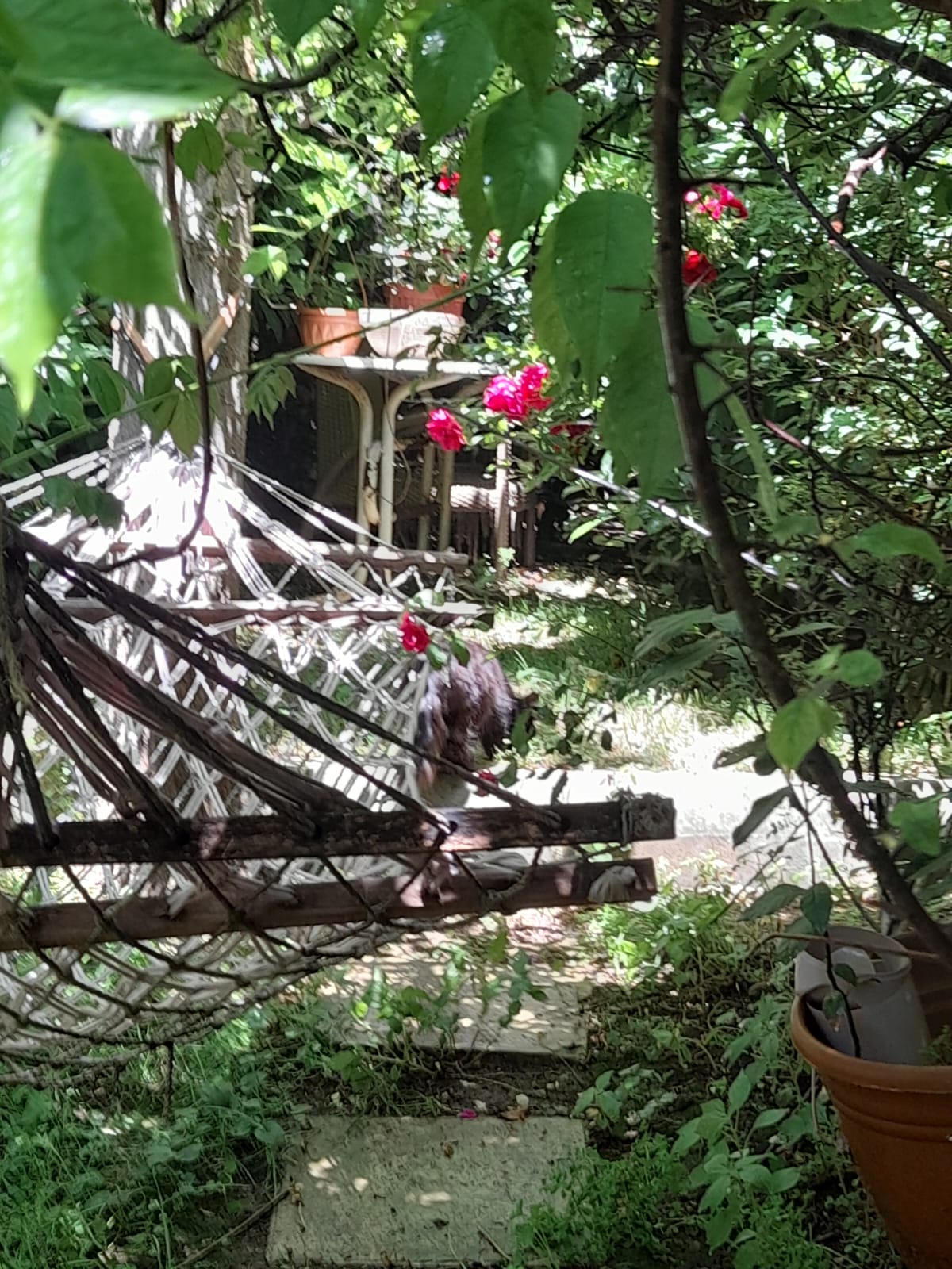 A luxurious life awaits you in Ulus Duplex