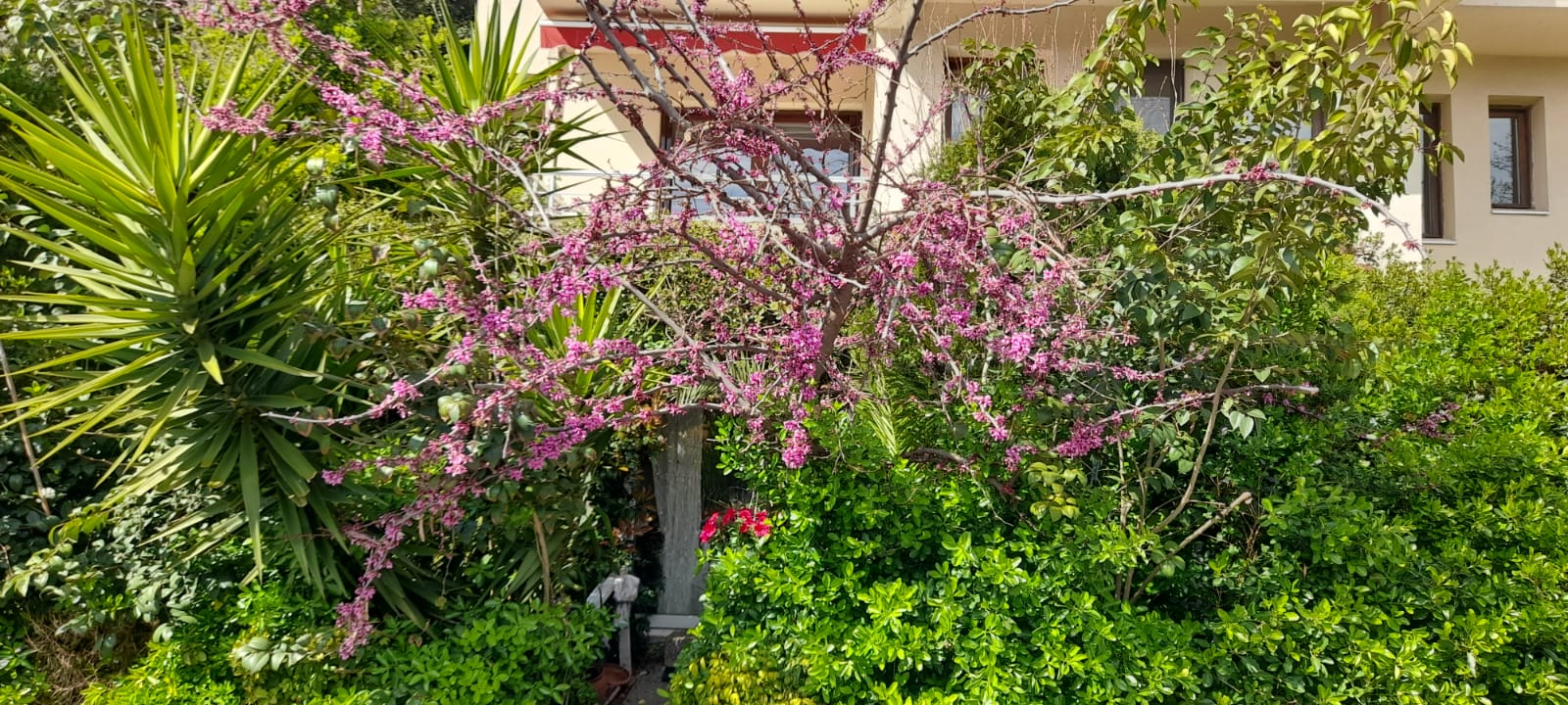 A luxurious life awaits you in Ulus Duplex